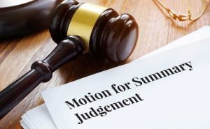 motion of summary judgement
