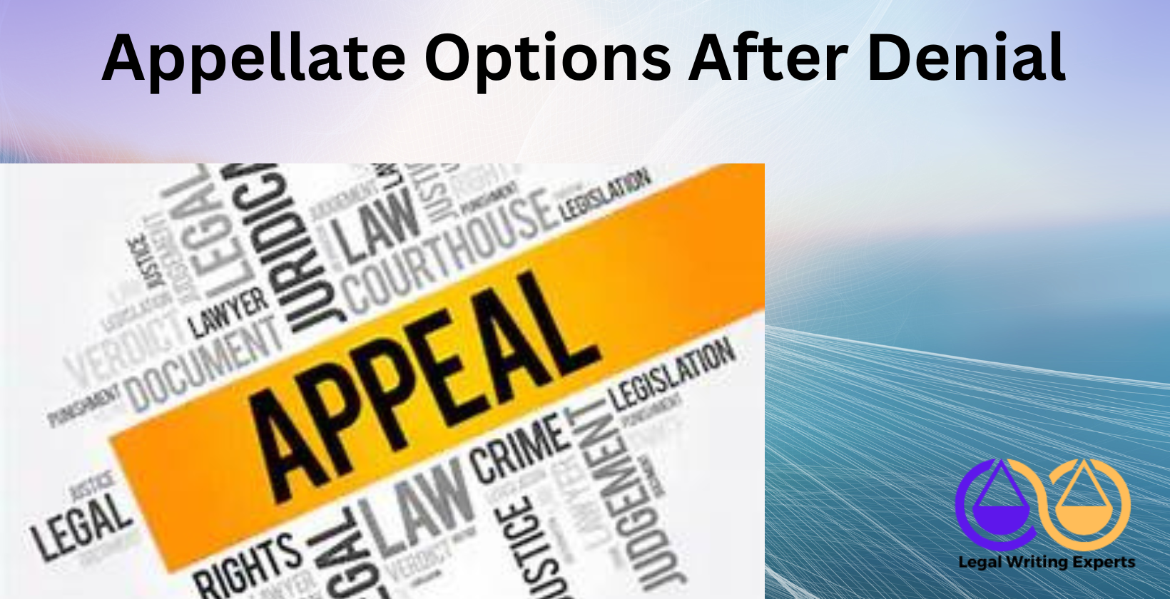 Appellate Options After Denial Appeal and legal terms word cloud