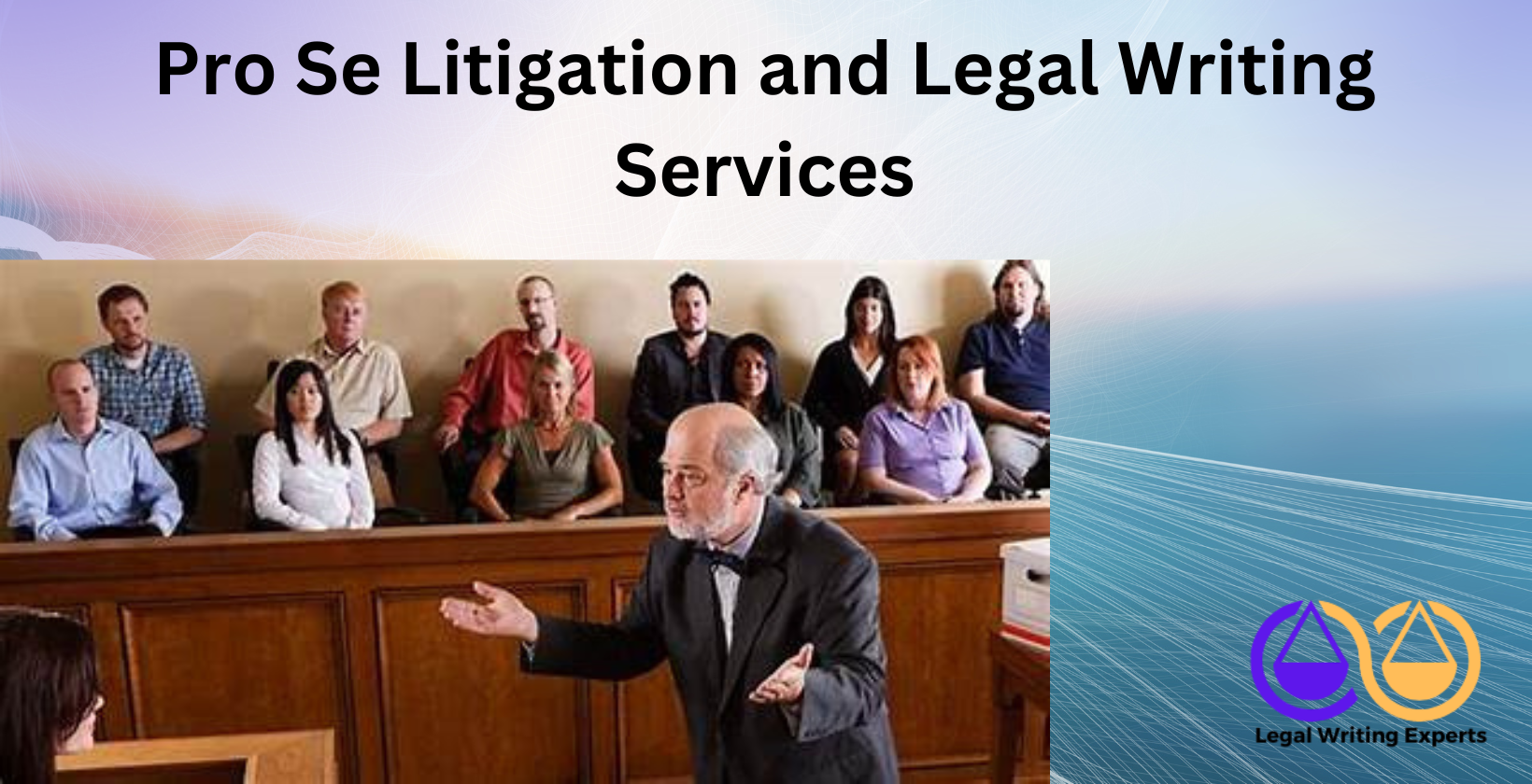Pro Se Litigation and Legal Writing Services Self-represented litigant in courtroom